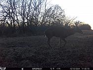12120069