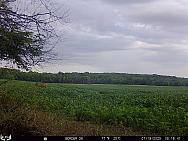 07190137