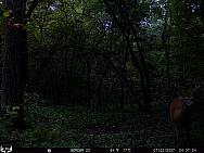 07220403