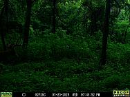 07230499