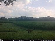 07270046