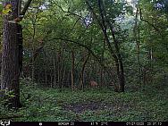 07270064