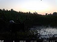 07270388