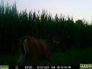 07270477