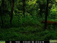 07300692