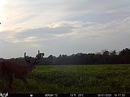 08010393