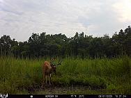 08010887