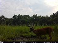 08010898