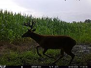 08030722