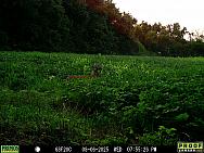 08060526 (2)