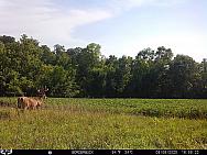 08060879