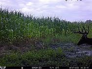 08070001