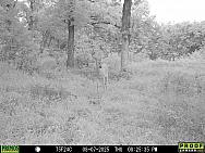 08070024