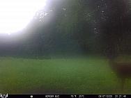 08070109