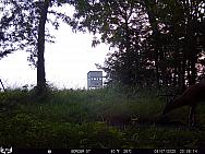 08070133