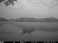 08070221