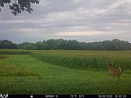 08090238