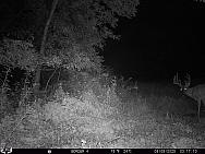 08090628
