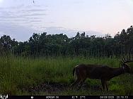 08090774