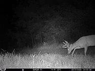 08100393