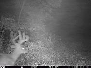 08100654