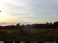 08100800