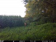 08120057