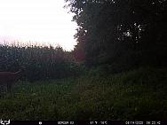 08140124