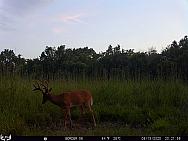 08150018