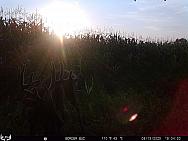 08150218