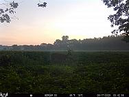 08170739