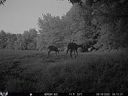 08190173