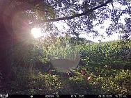 08200653