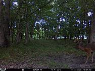 08230004 (2)