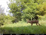 08260666