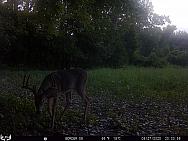 08270431
