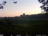 08280042
