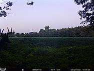 08280051