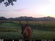 08290047