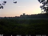 08290082
