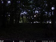 08290832