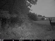 08300426