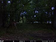 08310336