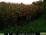 09040059