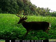 09040099
