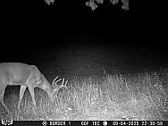 09040849