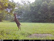 09040940