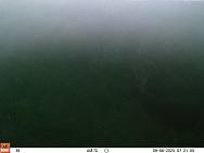 09060354 (2)