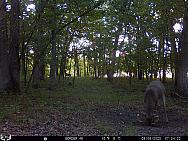 09060443
