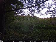 09060904